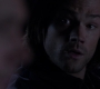 Filename=SPN_1741.jpg
Filesize=29KiB
Dimensions=1280x720
Date added=Sep 30, 2021 SPN_1741.jpg