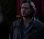 SPN_1602.jpg