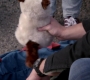 SPN_1745.jpg