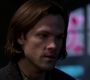 SPN_0595.jpg