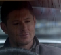 SPN_0687.jpg