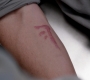 SPN_1231.jpg