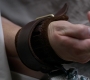 SPN_1268.jpg