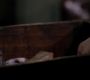 SPN_1493.jpg