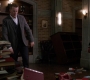 SPN_1501.jpg