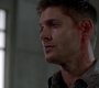 SPN_1584.jpg