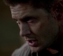 SPN_1678.jpg