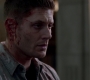 SPN_1723.jpg
