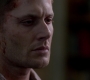 SPN_1735.jpg