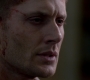 SPN_1741.jpg