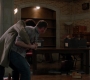 SPN_1790.jpg