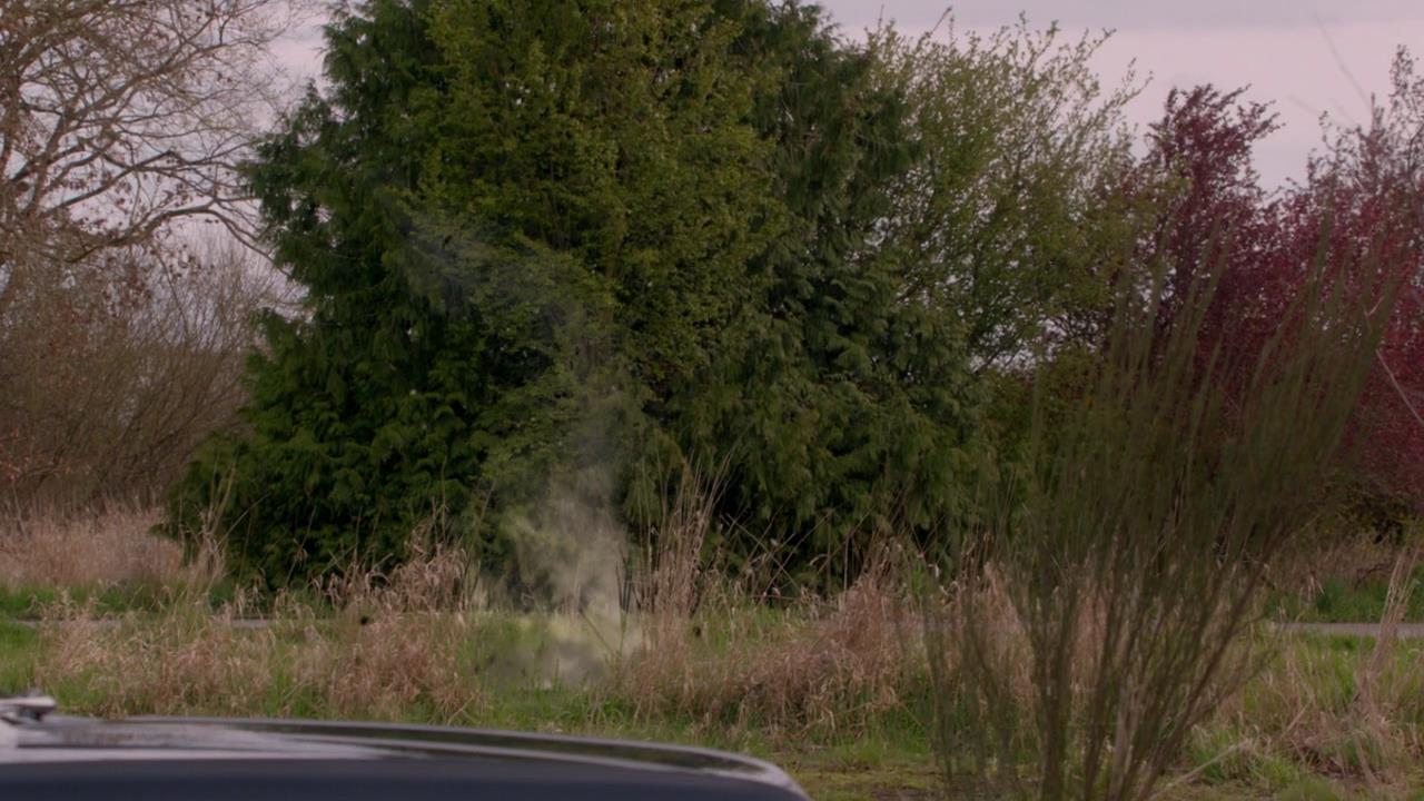 SPN_1867.jpg
