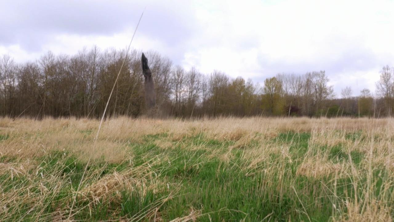 SPN_1906.jpg