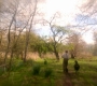 SPN_0430.jpg