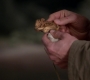 Filename=SPN_1214.jpg
Filesize=39KiB
Dimensions=1280x720
Date added=Sep 30, 2021 SPN_1214.jpg