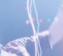 Filename=SPN_1740.jpg
Filesize=37KiB
Dimensions=1280x720
Date added=Sep 30, 2021 SPN_1740.jpg