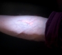 Filename=SPN_1745.jpg
Filesize=30KiB
Dimensions=1280x720
Date added=Sep 30, 2021 SPN_1745.jpg