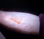 Filename=SPN_1756.jpg
Filesize=39KiB
Dimensions=1280x720
Date added=Sep 30, 2021 SPN_1756.jpg