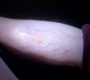 Filename=SPN_1757.jpg
Filesize=35KiB
Dimensions=1280x720
Date added=Sep 30, 2021 SPN_1757.jpg