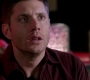Filename=SPN_1782.jpg
Filesize=52KiB
Dimensions=1280x720
Date added=Sep 30, 2021 SPN_1782.jpg