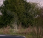 Filename=SPN_1867.jpg
Filesize=136KiB
Dimensions=1280x720
Date added=Sep 30, 2021 SPN_1867.jpg