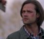 SPN_1882.jpg