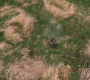 SPN_1887.jpg
