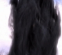 SPN_1891.jpg