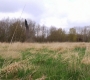SPN_1906.jpg
