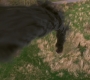 SPN_1911.jpg