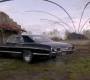 SPN_1945.jpg