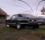 SPN_1946.jpg