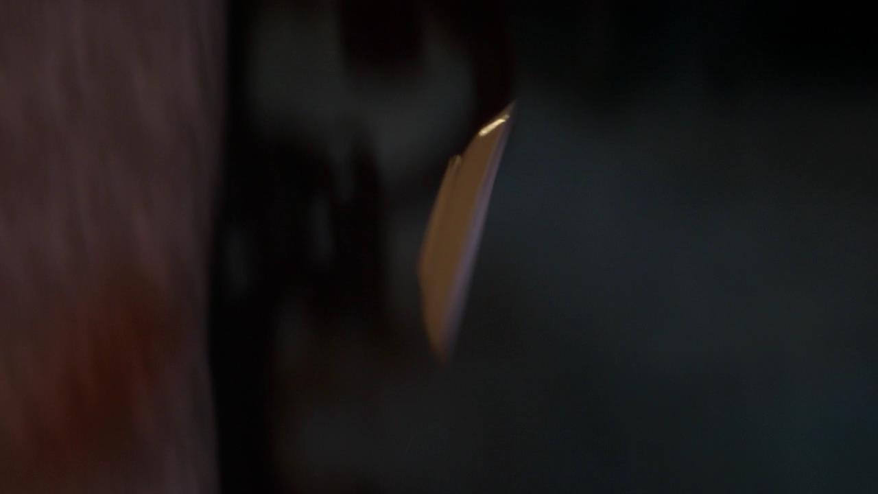 SPN_1252.jpg