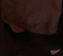 SPN_1278.jpg