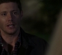 SPN_0121.jpg