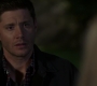 SPN_0133.jpg