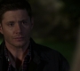 SPN_0136.jpg