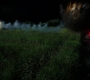 SPN_0173.jpg