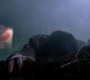 SPN_0185.jpg