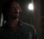 SPN_0443.jpg