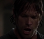 Filename=SPN_1009.jpg
Filesize=37KiB
Dimensions=1280x720
Date added=Sep 30, 2021 SPN_1009.jpg
