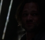 Filename=SPN_1410.jpg
Filesize=29KiB
Dimensions=1280x720
Date added=Sep 30, 2021 SPN_1410.jpg