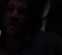 Filename=SPN_1413.jpg
Filesize=23KiB
Dimensions=1280x720
Date added=Sep 30, 2021 SPN_1413.jpg