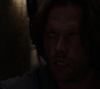 Filename=SPN_1449.jpg
Filesize=31KiB
Dimensions=1280x720
Date added=Sep 30, 2021 SPN_1449.jpg