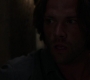 Filename=SPN_1453.jpg
Filesize=27KiB
Dimensions=1280x720
Date added=Sep 30, 2021 SPN_1453.jpg