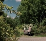 Filename=SPN_1856.jpg
Filesize=219KiB
Dimensions=1280x720
Date added=Sep 30, 2021 SPN_1856.jpg