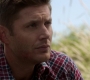 Filename=SPN_1870.jpg
Filesize=72KiB
Dimensions=1280x720
Date added=Sep 30, 2021 SPN_1870.jpg