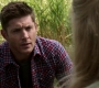 Filename=SPN_1875.jpg
Filesize=104KiB
Dimensions=1280x720
Date added=Sep 30, 2021 SPN_1875.jpg