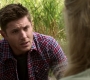 Filename=SPN_1886.jpg
Filesize=109KiB
Dimensions=1280x720
Date added=Sep 30, 2021 SPN_1886.jpg