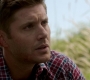 Filename=SPN_1893.jpg
Filesize=72KiB
Dimensions=1280x720
Date added=Sep 30, 2021 SPN_1893.jpg